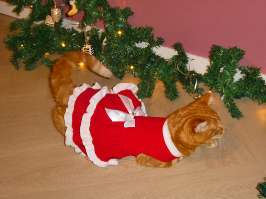 SantaPaws Christmas Fleece Pet Dress