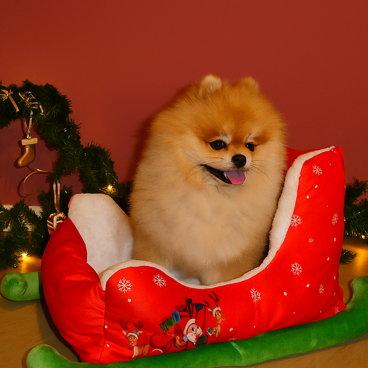 SantaPaws Christmas Sleigh Pet Bed