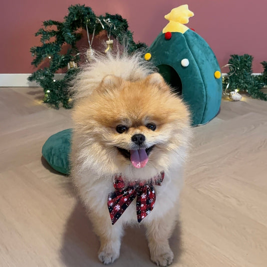 SantaPaws Christmas Dog Collar